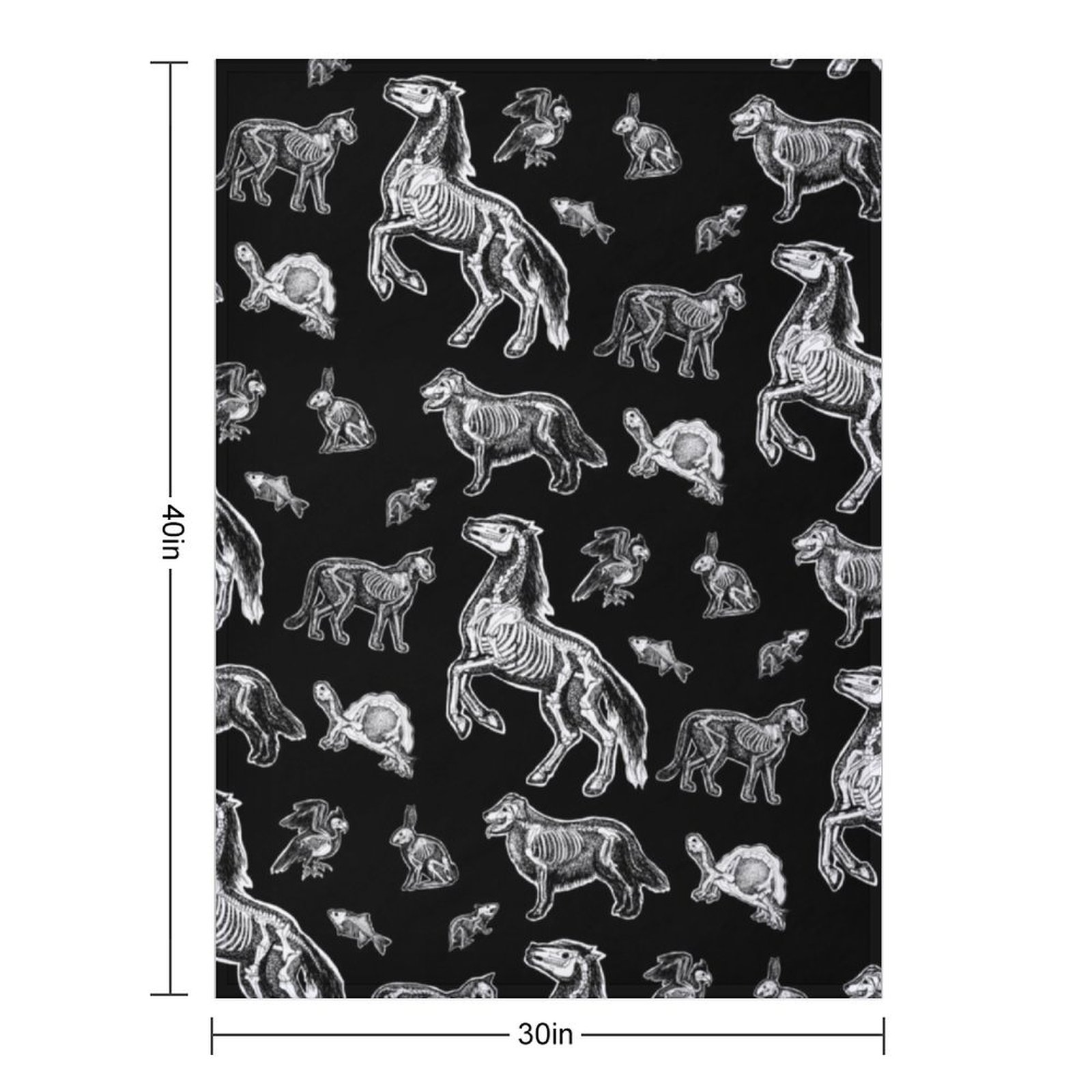Veterinary Technician :: X-ray - 3D Printing X Ray recension och pris
